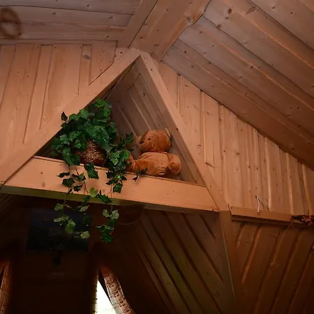 Bed & Breakfast Mis Goscinne *