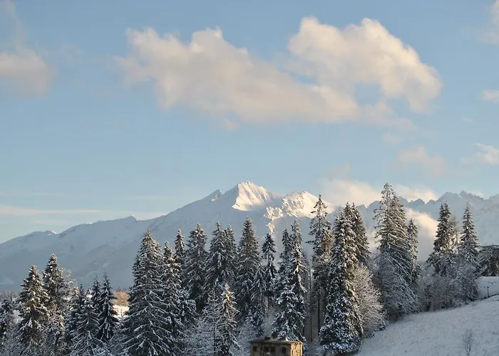 Miś Gościnne Nocleg ze śniadaniem 3*