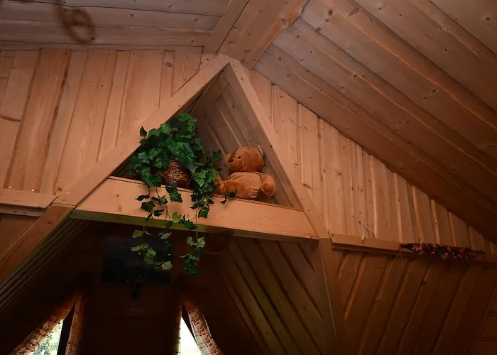 Nocleg ze śniadaniem Miś Gościnne 3*