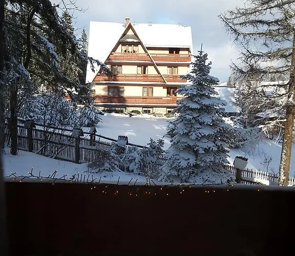 Miś Gościnne Nocleg ze śniadaniem