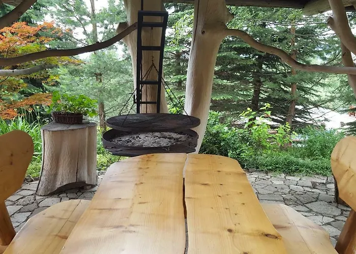 Miś Gościnne 3* Bukowina Tatrzańska